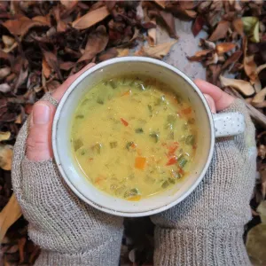 Feed the Hike Vegetable Curry Soup